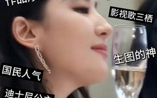 刘亦菲活动现场保安眼神成焦点，网友：这表情管理课需要加强啊！（刘亦菲大气）