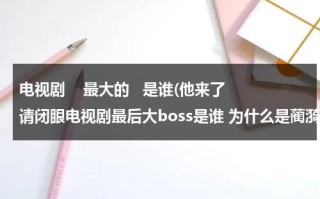 电视剧    最大的   是谁(他来了请闭眼电视剧最后大boss是谁 为什么是蔺漪阳)（他来了请闭眼那个背后的人是谁）