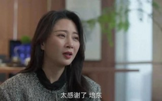 《凡人歌》朱培东太精！朱太太劝退情敌，是彭欣怡对沈琳最狠报复（凡人歌谁唱的）