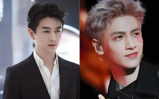 同样“瘦到脱相”，陈晓、罗云熙谁是2025年赢家？