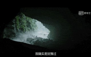 沉默的迷雾(爱奇艺迷雾剧场沉默的真相下一部)