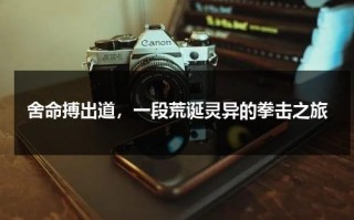 舍命搏出道，一段荒诞灵异的拳击之旅（拳击惨烈）