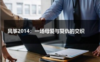 风筝2014：一场母爱与复仇的交织（风筝送审版51集完整版资源）