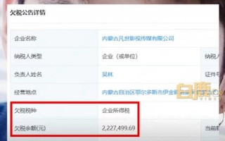 出来还钱！吴亦凡进去2年了公司还欠税400万，评论区笑麻了（吴亦凡负债）
