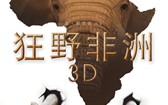 狂野非洲 African Safari