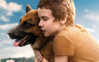 忠犬帕尔玛 Пальма