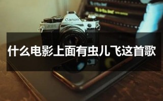 什么电影上面有虫儿飞这首歌