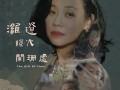 潍遗灯火阑珊处 The Gift Of Time