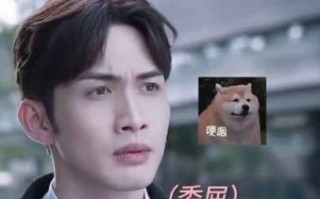 张彬彬个人资料揭秘：从演员到歌手的成长之路