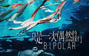 只是一次偶然的旅行 Bipolar
