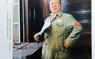 波斯猫在行动电影(波斯猫在行动电影影评)