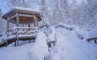 大雪纷飞(大雪纷飞是成语吗)