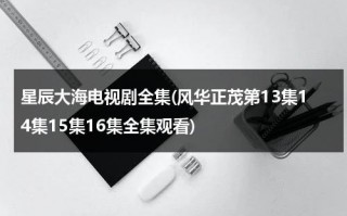 星辰大海电视剧全集(风华正茂第13集14集15集16集全集观看)（星辰大海电视剧视频）