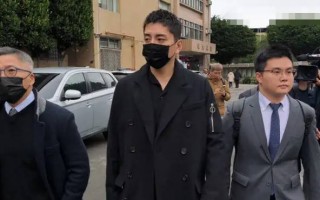 王大陆庭上自称“在当兵”引困惑！否认教唆查询个资