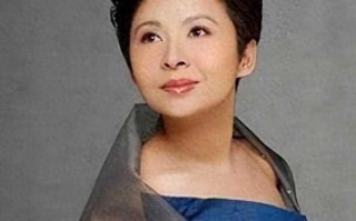 一百万一夜？赖昌星揭露两人真实关系，歌唱家董文华为何会退圈？（赖昌声与董文华谁厉害）