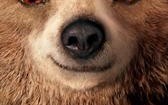 帕丁顿熊 Paddington
