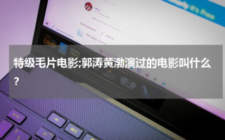 特级毛片电影;郭涛黄渤演过的电影叫什么？
