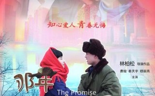 那年我对你的承诺 The Promise I Made to You