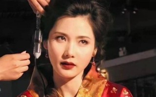 敌后武工队电影(敌后武工队电影百度百科)