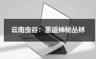 云南虫谷：重返神秘丛林（电视剧鬼吹灯之云南虫谷免费观看）