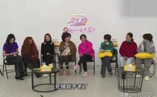 《一路繁花》：向太与倪萍的智慧较量，谁更胜一筹？