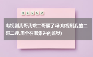 电视剧我哥我嫂二哥醒了吗(电视剧我的二哥二嫂,周全在哪集进的监狱)（我哥我嫂电视剧里的二哥醒了吗）