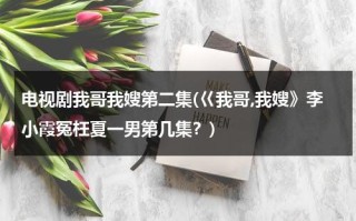 电视剧我哥我嫂第二集(巜我哥,我嫂》李小霞冤枉夏一男第几集？)（我哥我嫂夏一男图片）