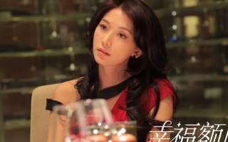 幸福额度(幸福额度演员表简介)