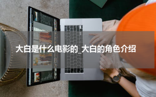 大白是什么电影的_大白的角色介绍