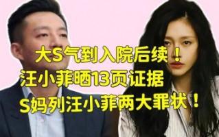 大S去世后监护权争夺战，汪小菲与S妈对峙