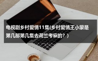 电视剧乡村爱情11集(乡村爱情王小蒙是第几部第几集去荷兰考察的？)（乡村爱情王小蒙第几集检查出怀孕了）