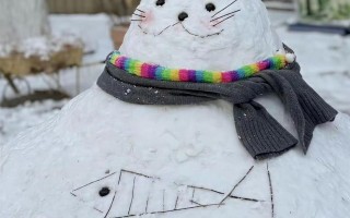 姚晨在家堆雪人，别墅院子里积雪很厚，儿子单眼皮长得像爸爸曹郁