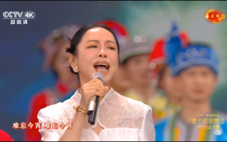 网友评春晚《难忘今宵》：领唱一开口成难受今宵（2020春晚难忘今宵歌词完整版）