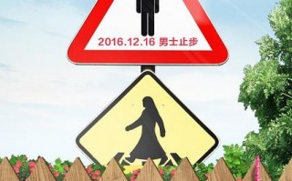 五女闹京城