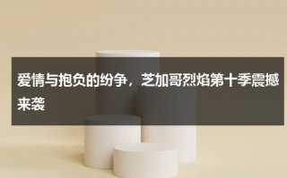 爱情与抱负的纷争，芝加哥烈焰第十季震撼来袭（芝加哥烈焰第十季剧情）