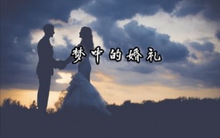 梦中婚礼(梦中婚礼简谱 初学)