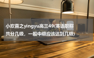 小欢喜之yingyu高三49(英语职称共分几级，一般中级应该达到几级)