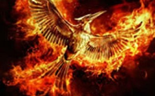 饥饿游戏3：嘲笑鸟(下) The Hunger Games- Mockingjay - Part 2