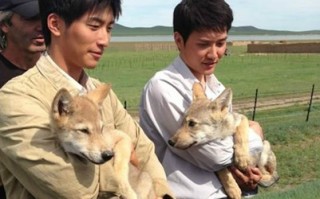 狼图腾电影免费观看完整版(狼图腾电影免费观看完整版国语)