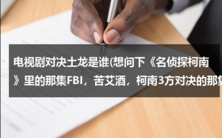 电视剧对决土龙是谁(想问下《名侦探柯南》里的那集FBI，苦艾酒，柯南3方对决的那集是第几集？)（电视剧对决好看吗）