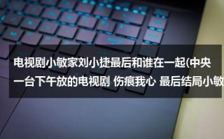 电视剧小敏家刘小捷最后和谁在一起(中央一台下午放的电视剧 伤痕我心 最后结局小敏和敦南有没有在一起 奶奶有没有被安查丽害死 ...)（dj刘小敏哪里人）
