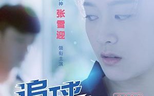 追球 Football Dream