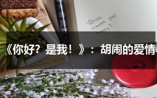 《你好？是我！》：胡闹的爱情（《你好?是我》）