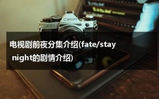 电视剧前夜分集介绍(fate/stay night的剧情介绍)（fate stay night前传）