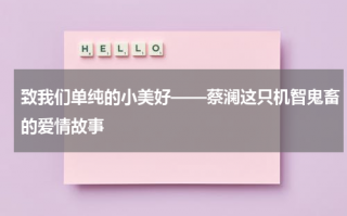 致我们单纯的小美好——蔡澜这只机智鬼畜的爱情故事（蔡澜全集）