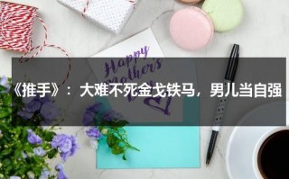 《推手》：大难不死金戈铁马，男儿当自强（《推手》剧情）