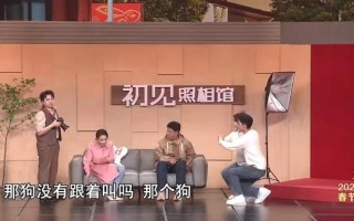 今年春晚节目“流出”，流行梗融入其中并与经典对比（今年春晚最经典的节目）