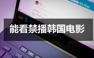 能看禁播韩国电影（能看鬼片的app）