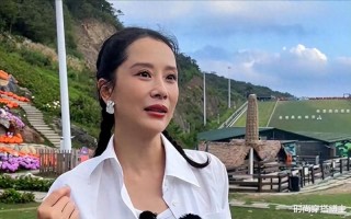 46岁海清罕见现身！嘟嘟唇吸睛脸部大变样，网友直呼：认不出了（海清小沈阳演的电视剧）