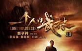 一个人的武林 Last of The Best